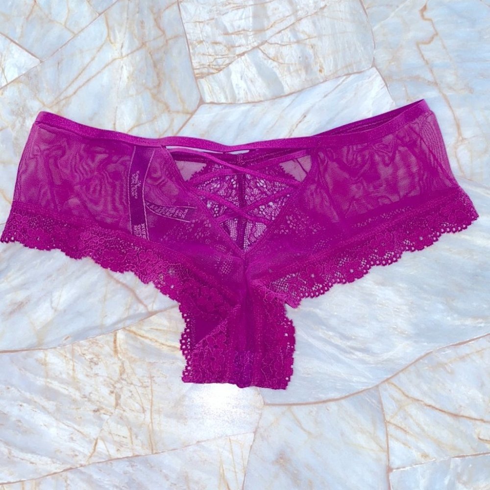 New Cheeky Panty‎ Mesh Eyelash Chantilly Lace Trim Underwear Crisscross Back XS